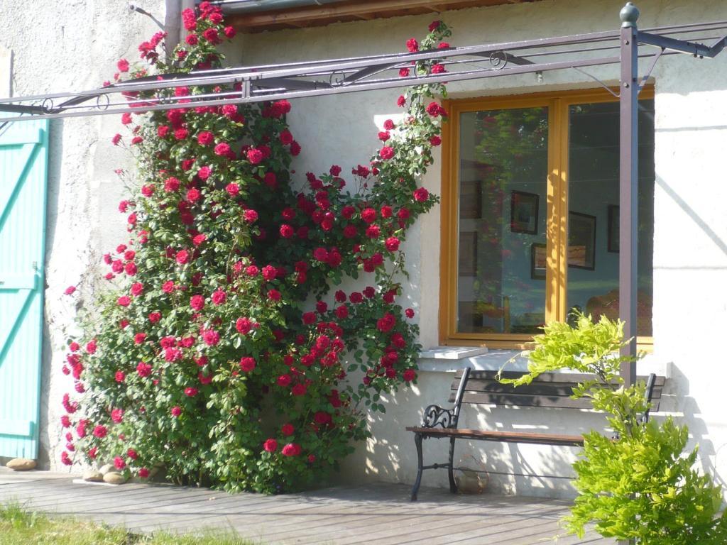 Les Garennes Otel Saint-Uze Dış mekan fotoğraf